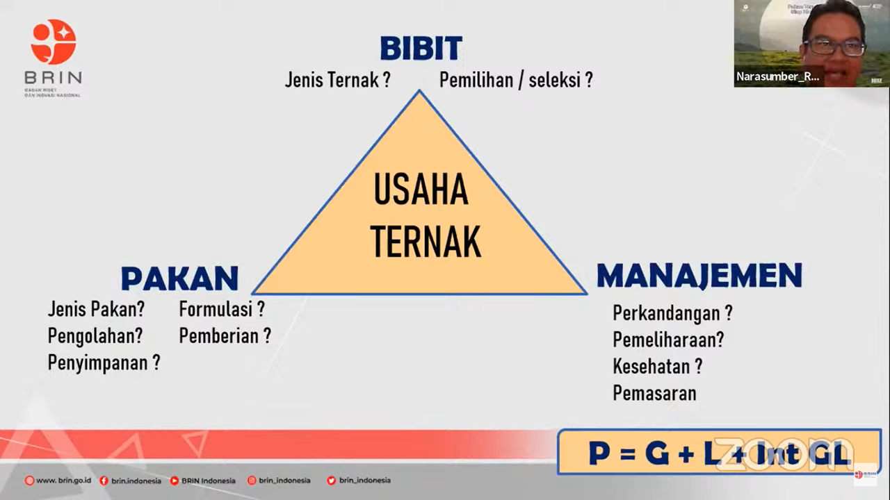 Peneliti BRIN Kembangkan Formulasi Pakan Ternak Lokal Berbasis Teknologi