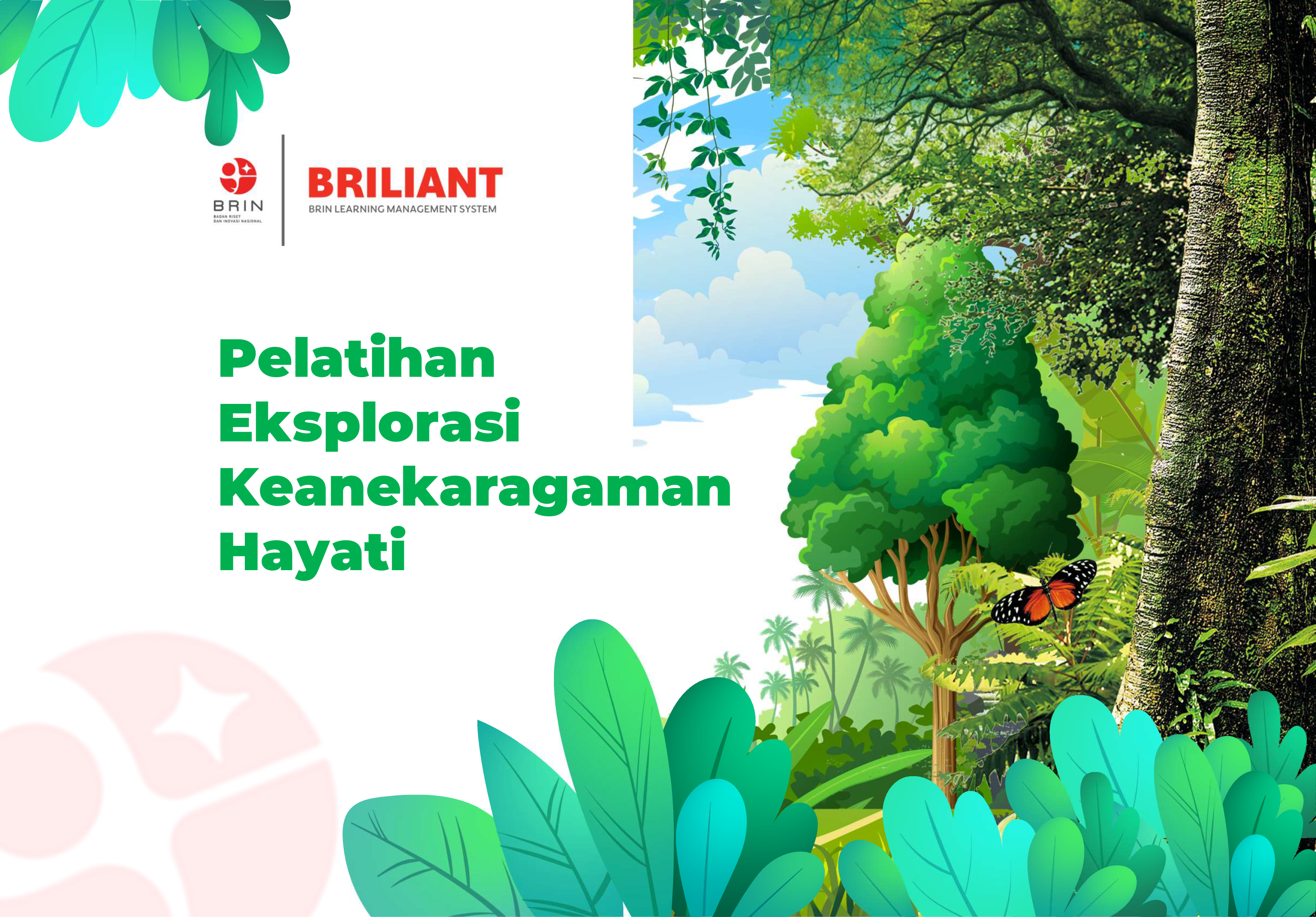 Kelas: Pelatihan Eksplorasi Keanekaragaman Hayati 