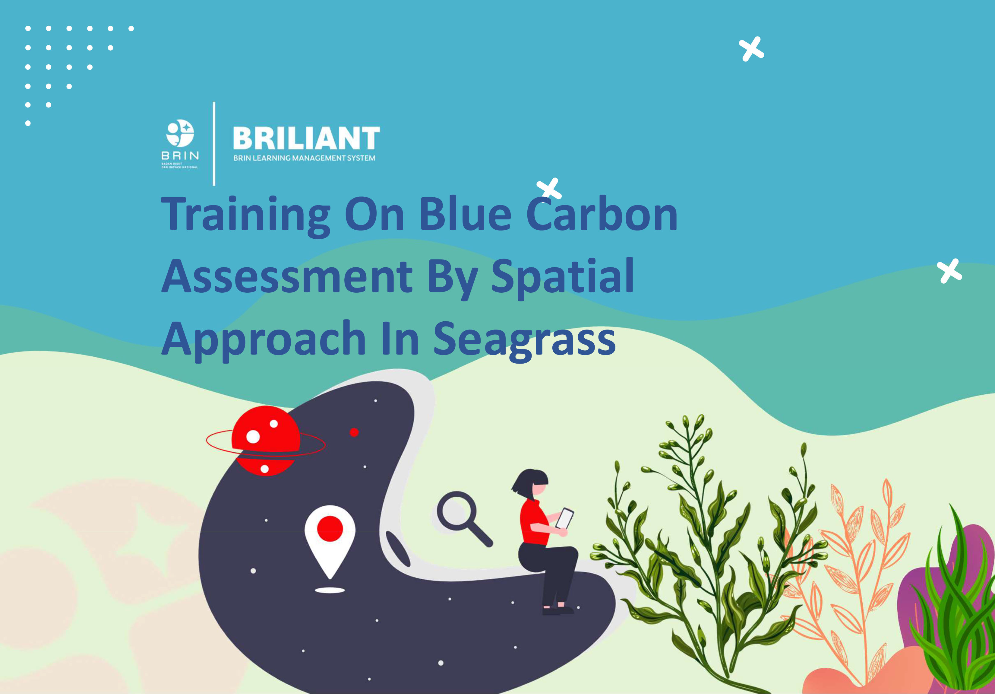 Class: Training Course on Remote Sensing-based Seagrass Blue Carbon Assessment